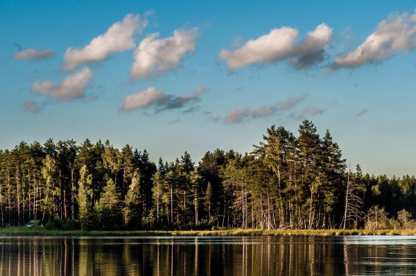 Озеро светлое Ноябрьск