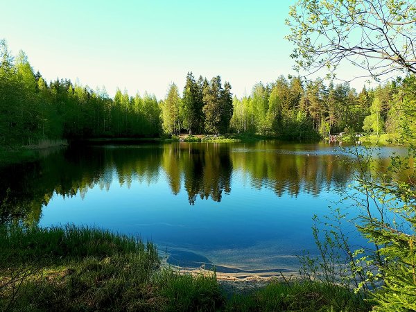 Изумрудное озеро Токсово