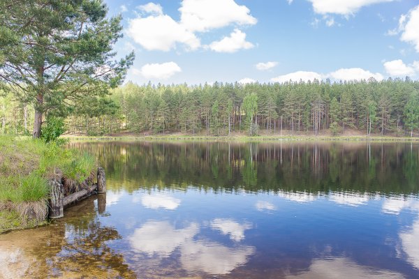 Озеро Санхар Нижегородская область