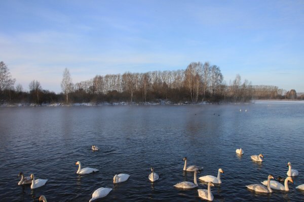 Графский пруд Вешняки