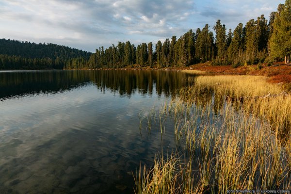Озеро светлое Свердловская область