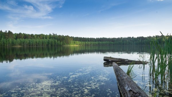 Изьяры озеро Чувашия