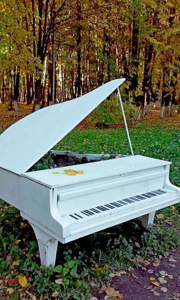 Фортепиано в парке