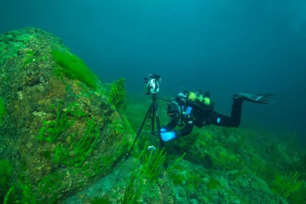 Виктор Лягушкин