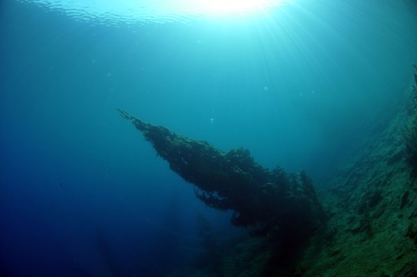 Глубина Телецкого озера