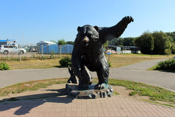 Парк тысячелетия Ярославль медведь
