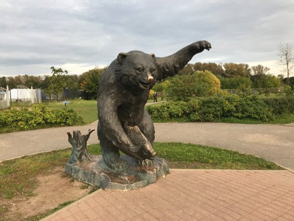 Сити-парк 1000-летия Ярославля