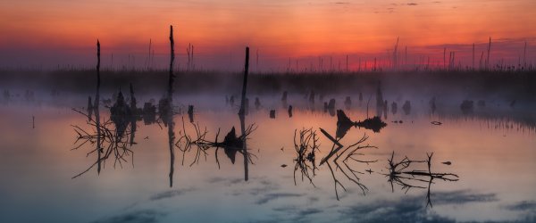 Гиблые болота