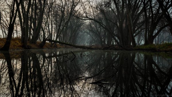 Мрачная река