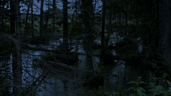 Жуткое болото