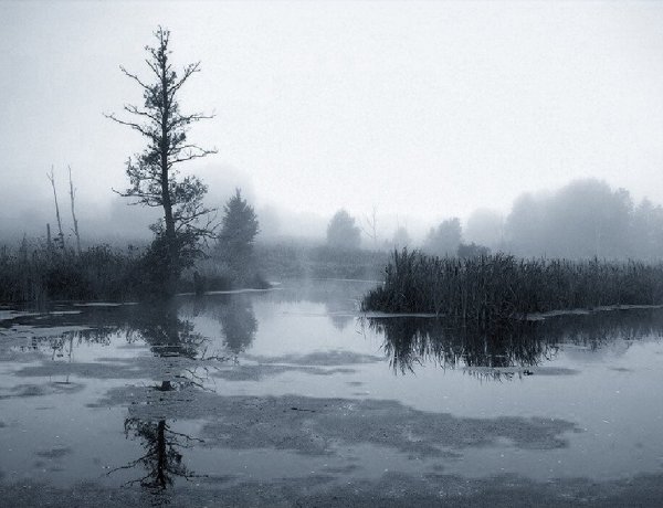 Кладовая солнца слепая Елань