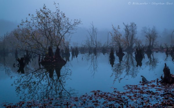 Жуткое озеро