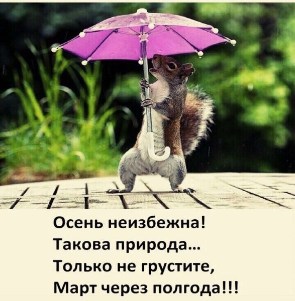 Открытка в дождливую погоду для поднятия настроения