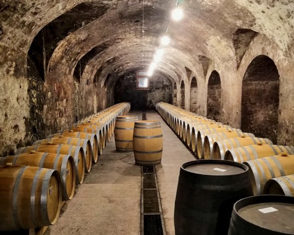 Софья Перовских винодельня