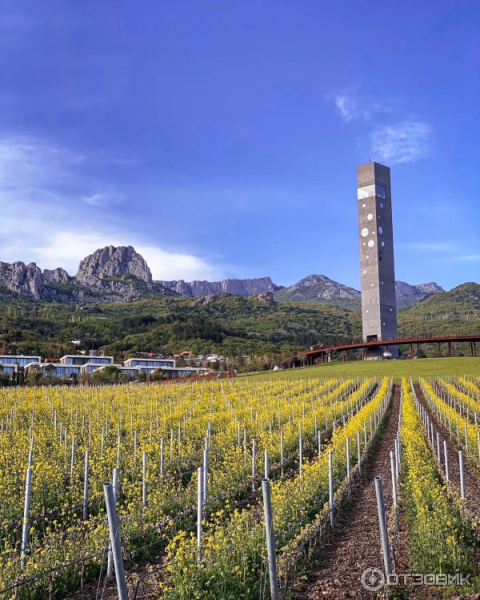 Мрия винный парк водопад