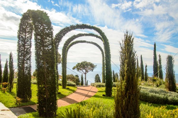 Виноградный парк Мрия