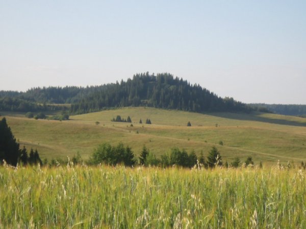 Заповедник Шаркан Удмуртия