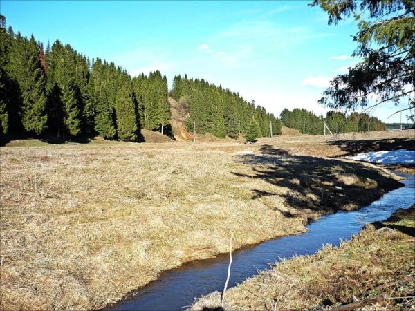 Парк Шаркан Удмуртия