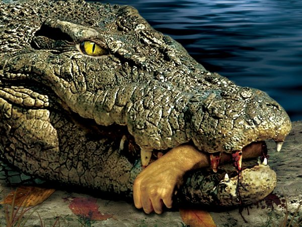 Лэйк Плэсид озеро страха