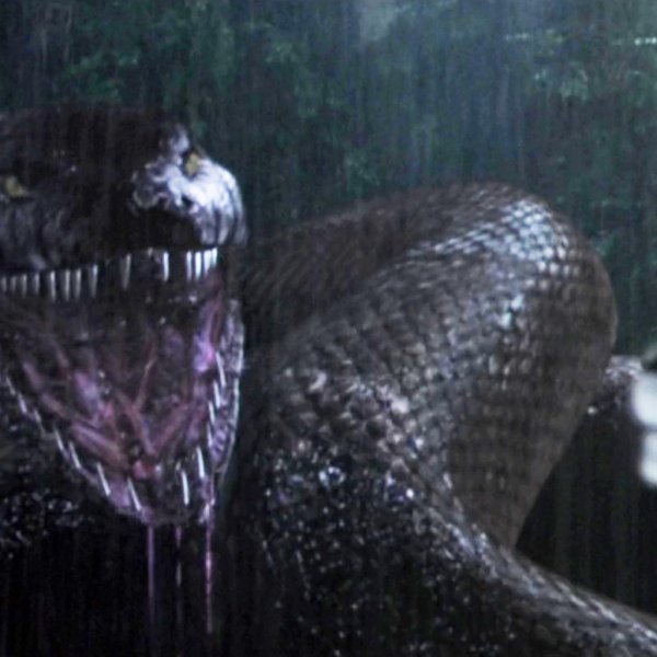 Змея Анаконда 2 охота за проклятой