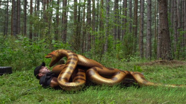 Анаконда 5 озеро страха 2015