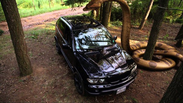 Озеро страха Анаконда фильм