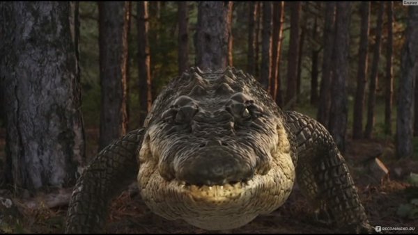 Озеро страха: Анаконда фильм 2015