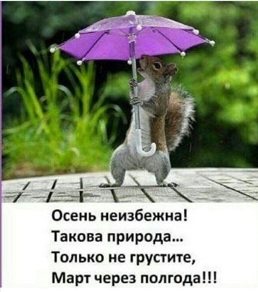 Осень неизбежна