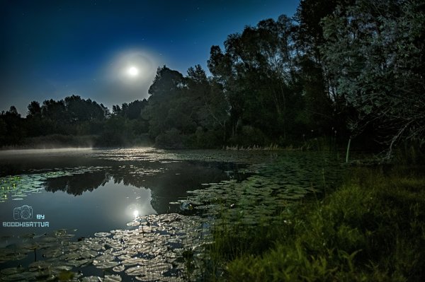 Озеро ночью