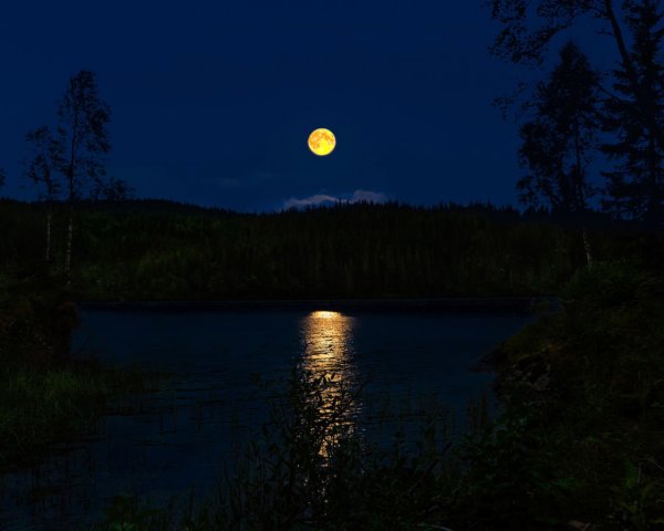Луна над озером