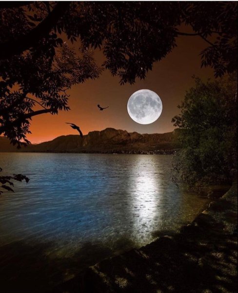 Ночной пейзаж