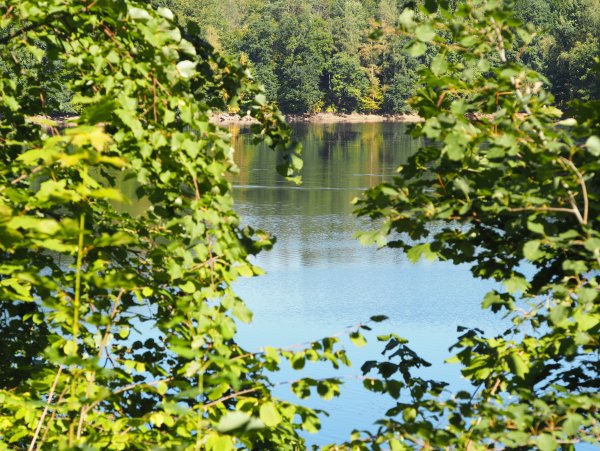 Тихое озеро смотреть