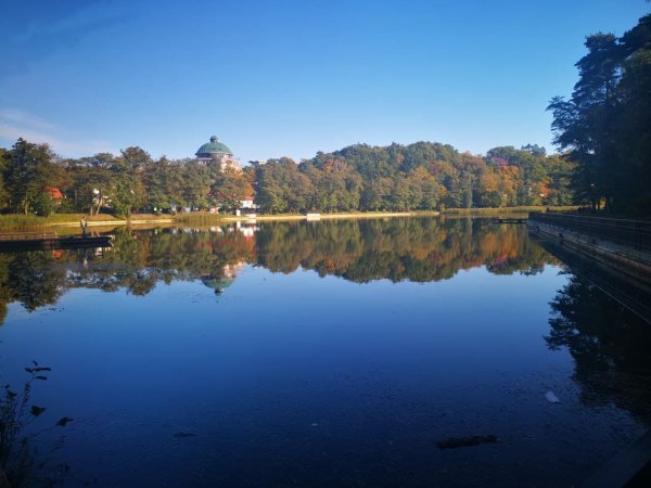 Светлогорск озеро тихое фото