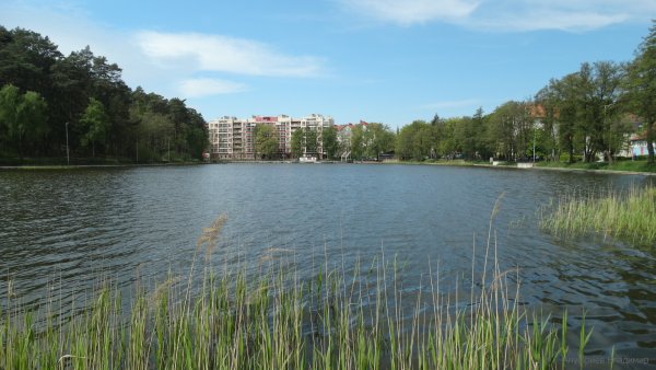 Озеро тихое Светлогорск