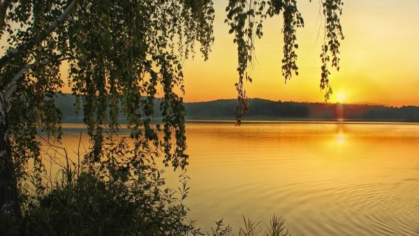 Пейзаж Заря