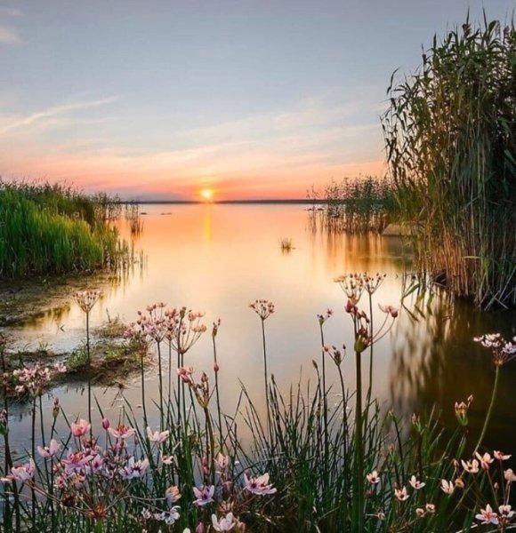 Рассвет над озером