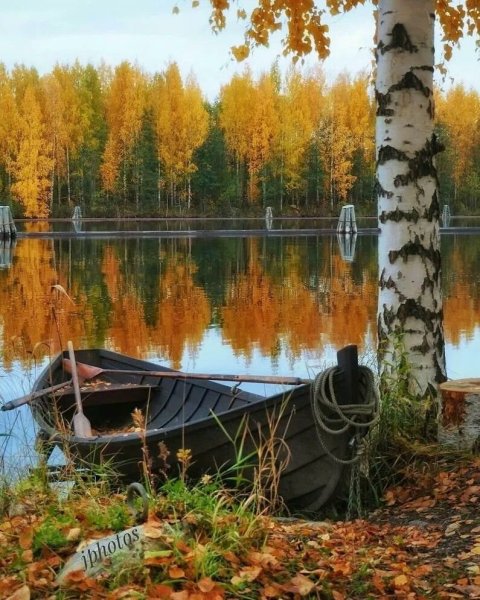 Красивая осень в деревне
