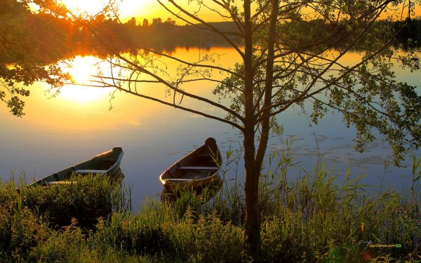 Вечер на берегу реки