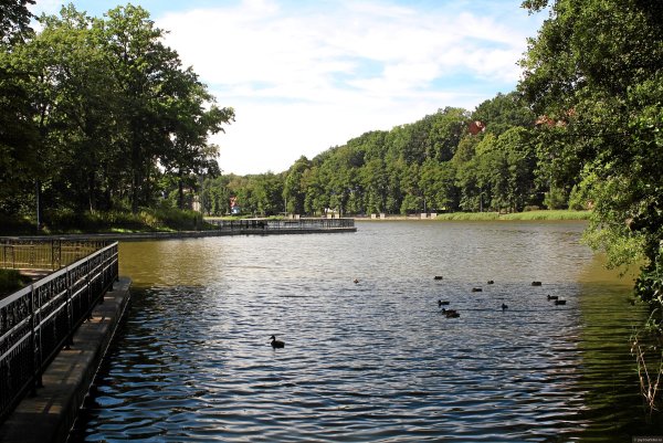 Озеро тихое Светлогорск