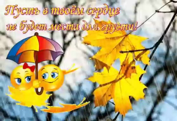 Хорошего настроения в дождливую осень