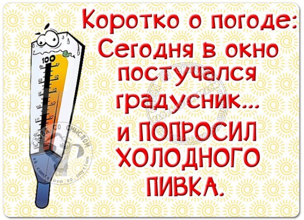 Смешные фразы про жару