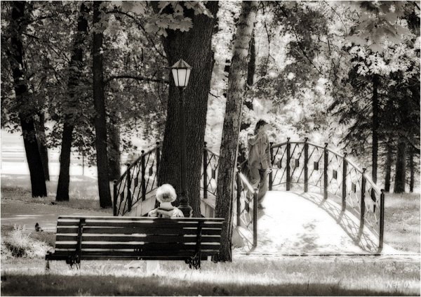 Старый парк черно белый