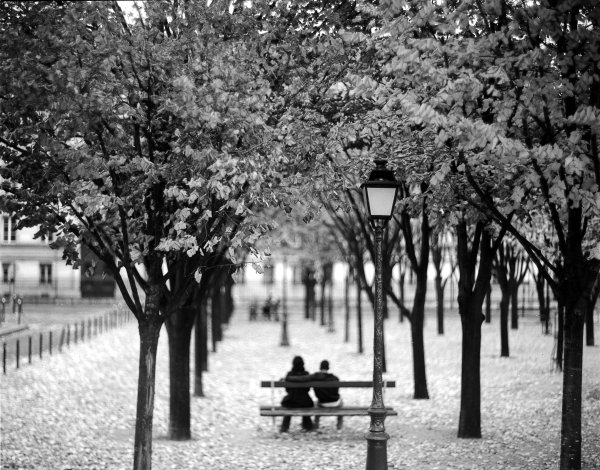 Черно белая осень