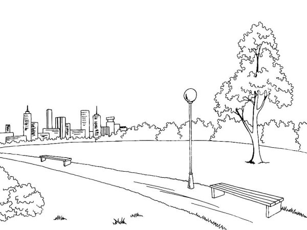 Раскраска аллея в парке