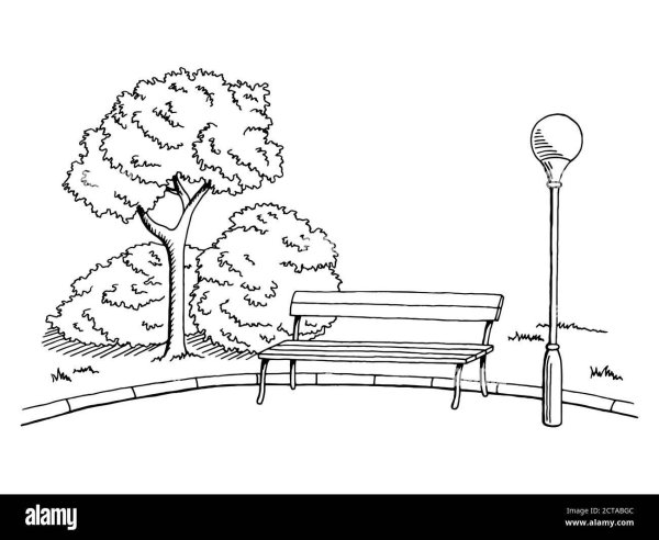 Раскраска парк с деревьями