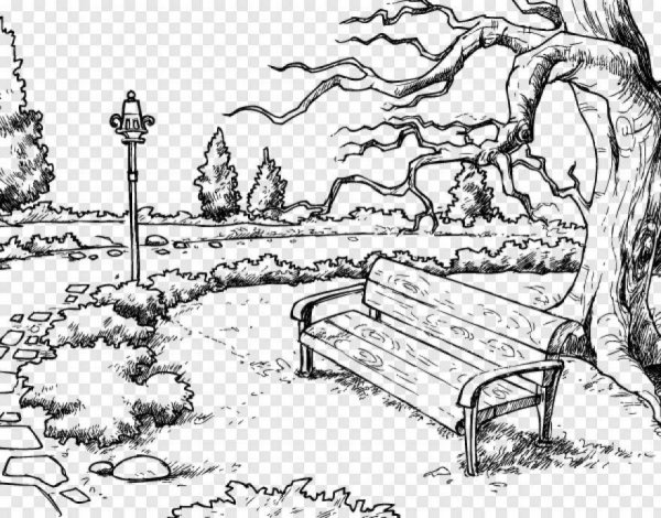 Парк раскраска для детей