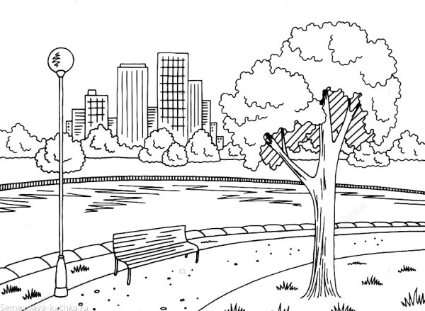 Раскраска для детей парк с деревьями