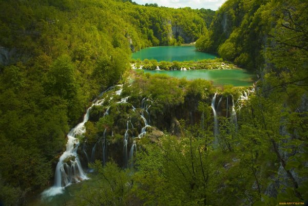 Плитвицкие озера Флора
