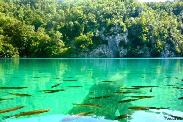Плитвицкое озеро Хорватия