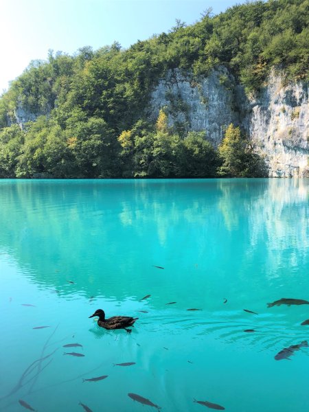 Хорватский национальный парк Плитвицкие озера